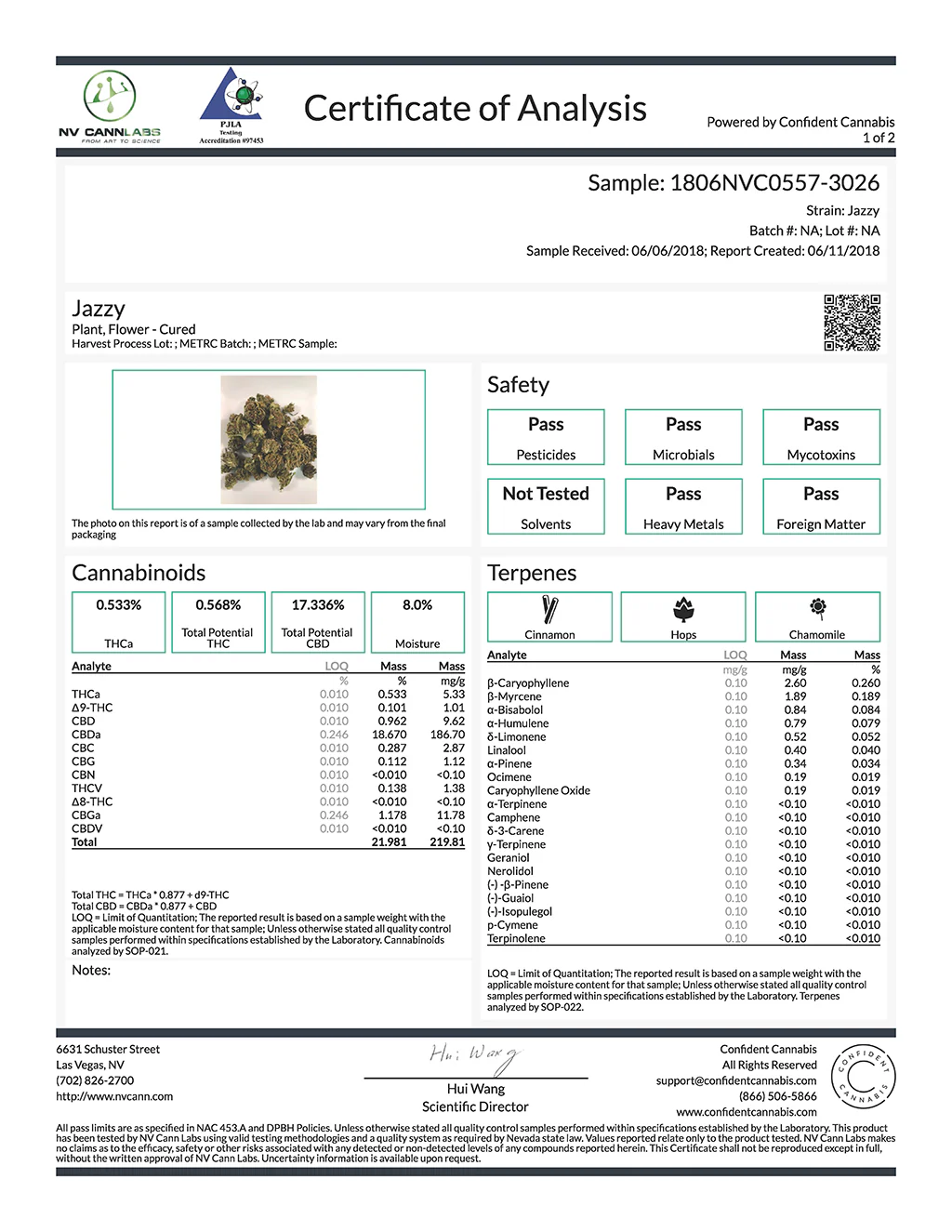 THCa & CBD Hash Bricks - Image 6
