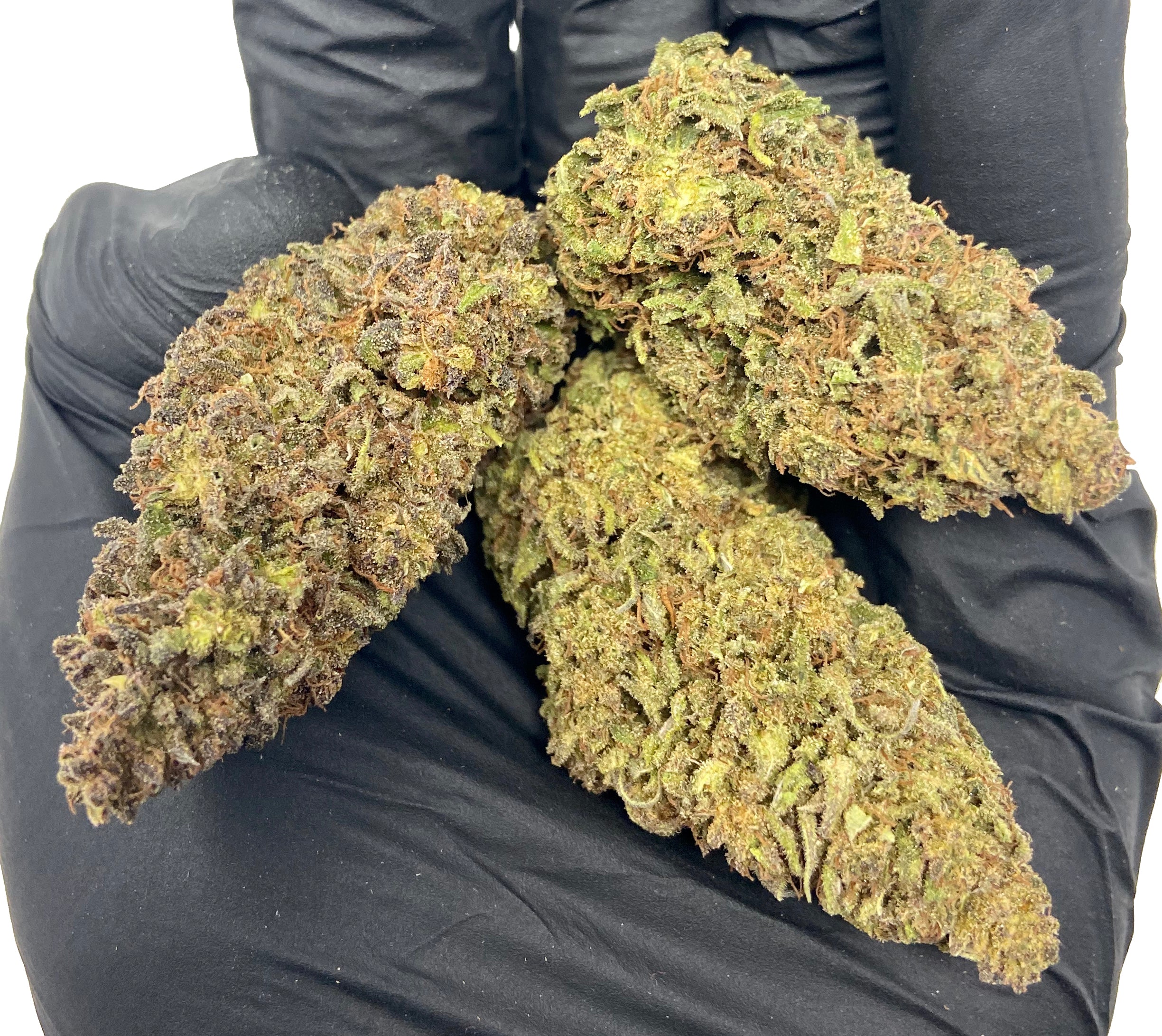 Gorilla Cake - Image 3