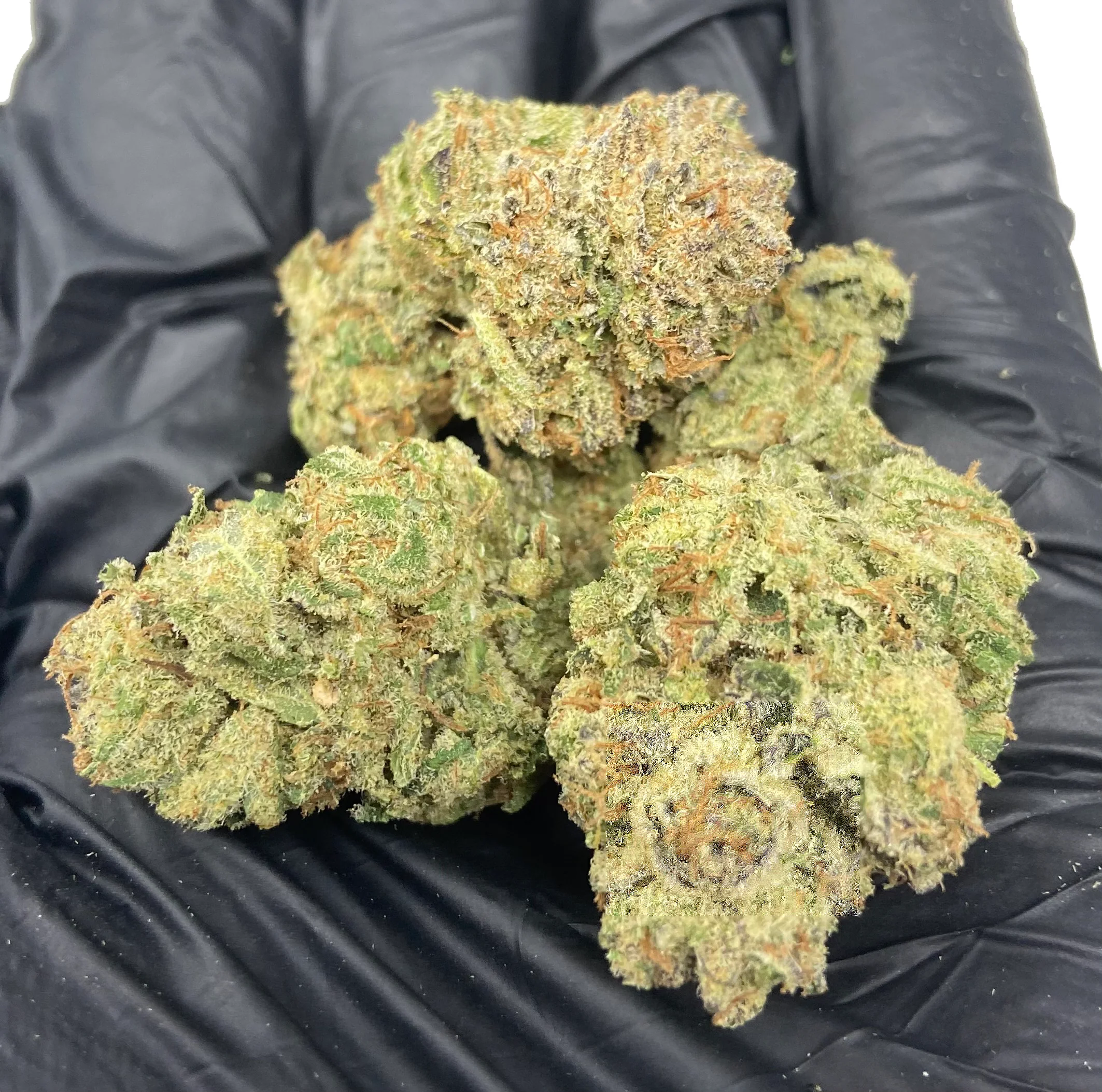 Indoor Banana MAC CBD THCa Flower - Image 5