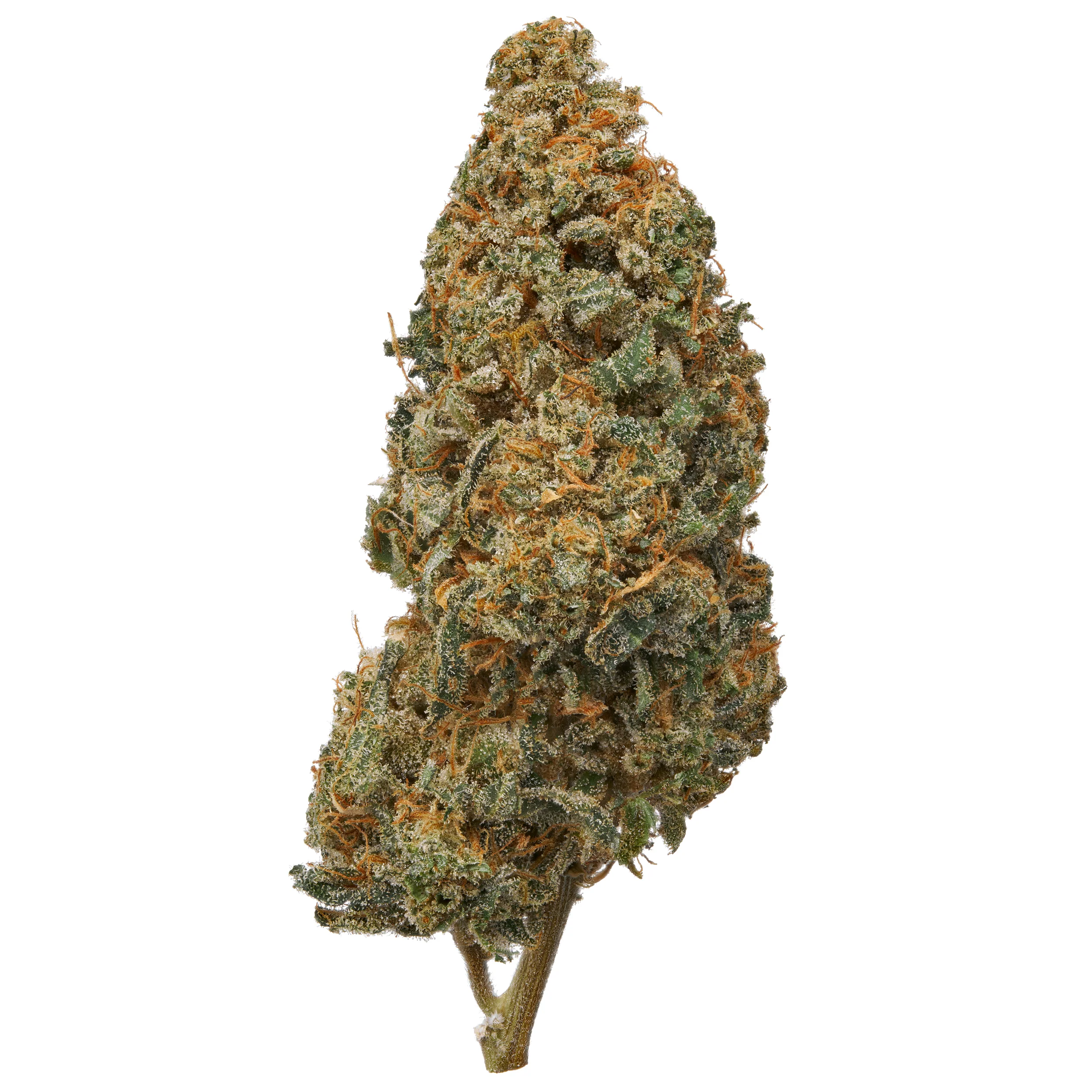 Indoor Pacific Cooler CBD Flower - Image 4