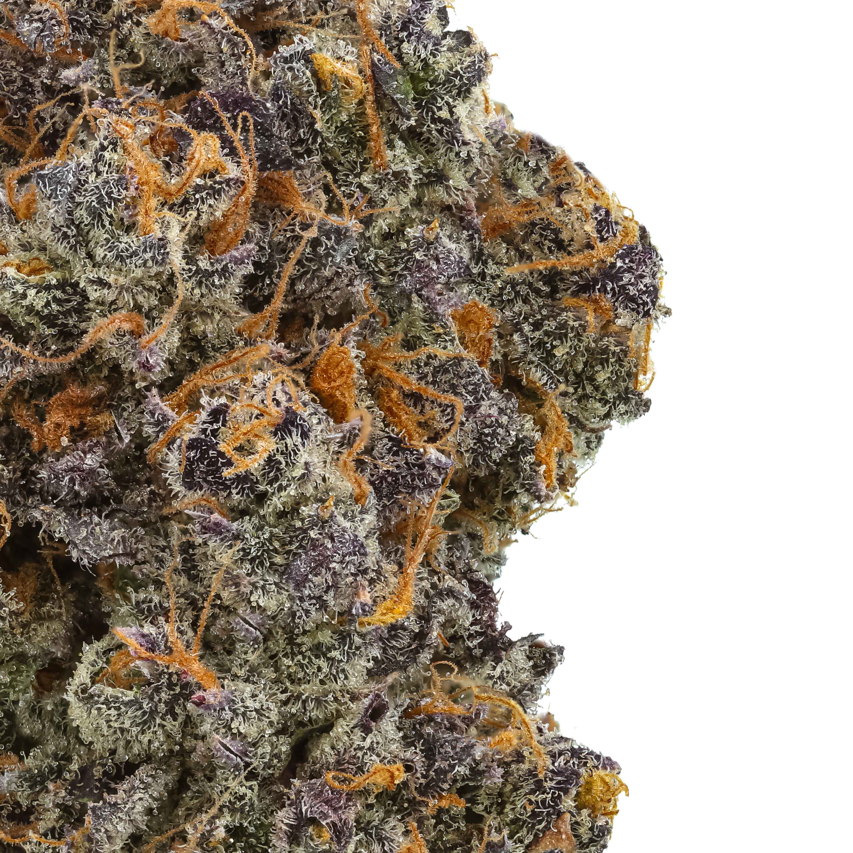 Inferno Runtz THCa Flower - Image 2