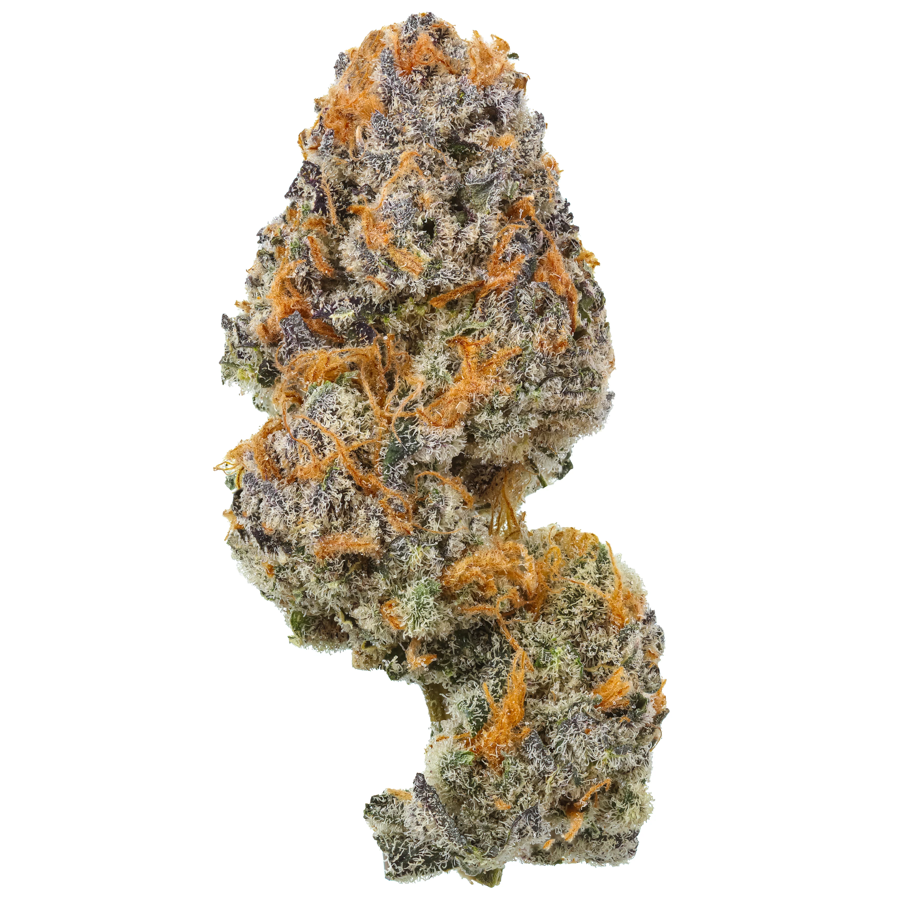 Oil Spill THCa Flower