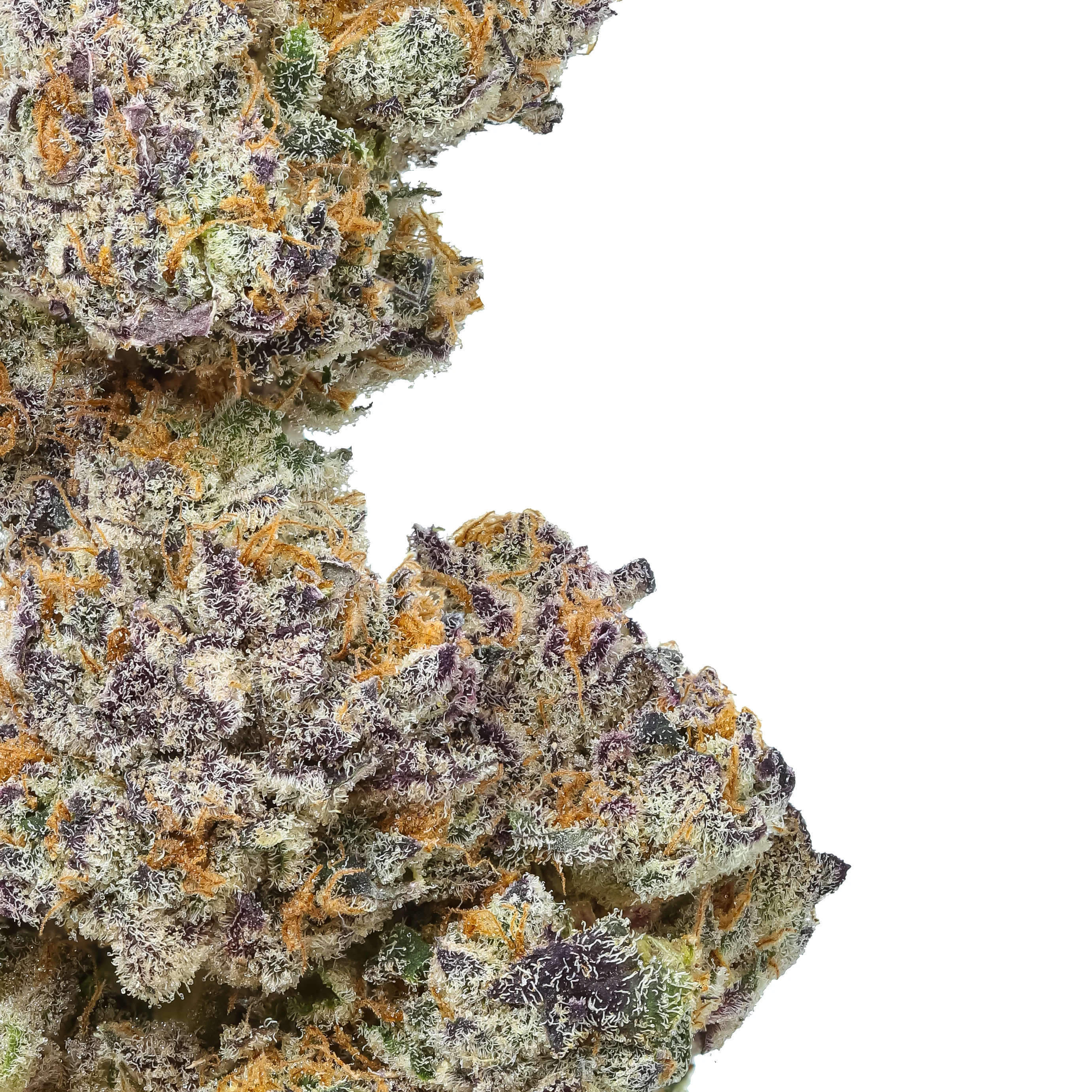 Permanent Chimera THCa Flower - Image 3