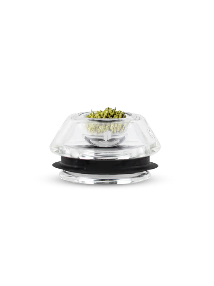Proxy Flower Bowl