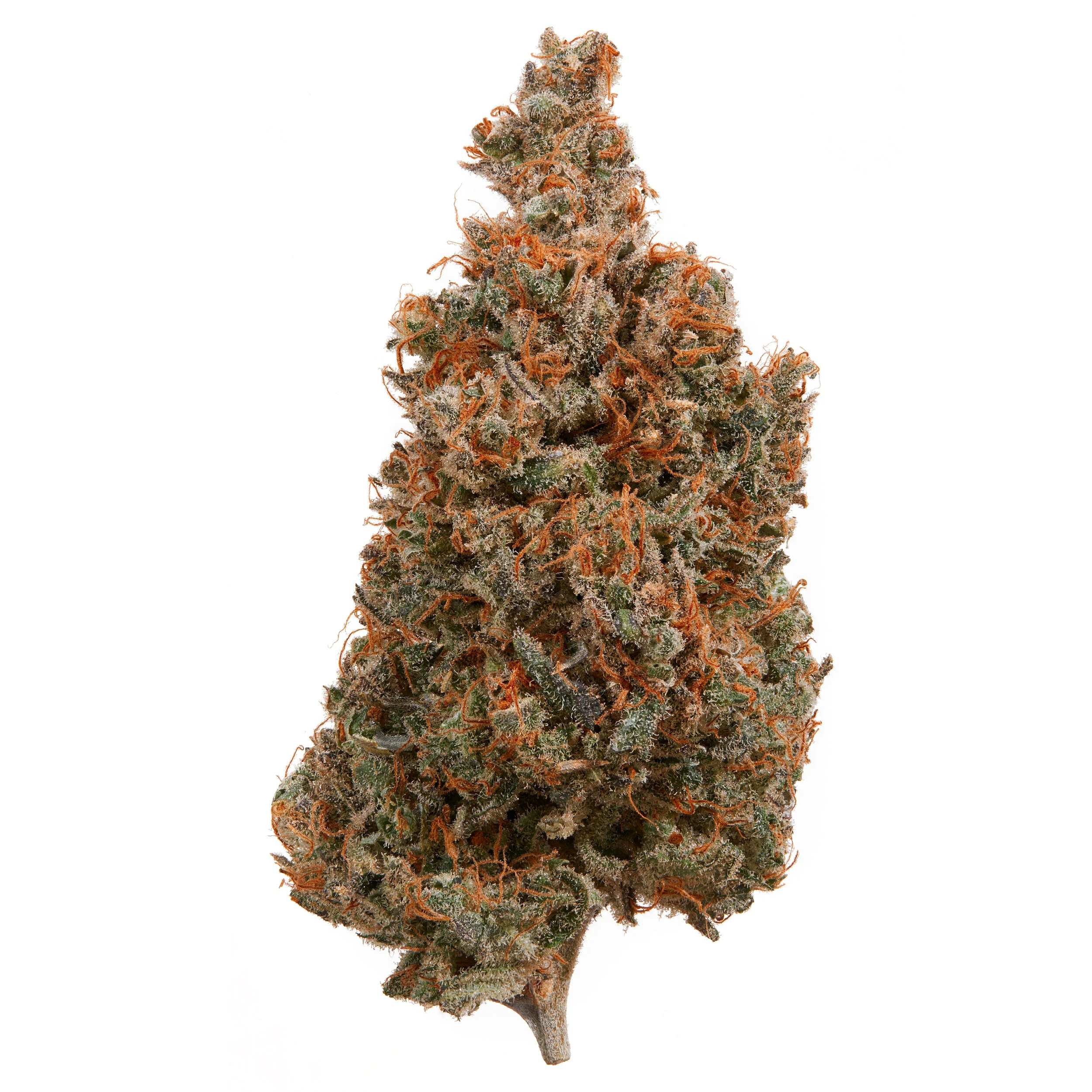 Quarter Pound - Image 3