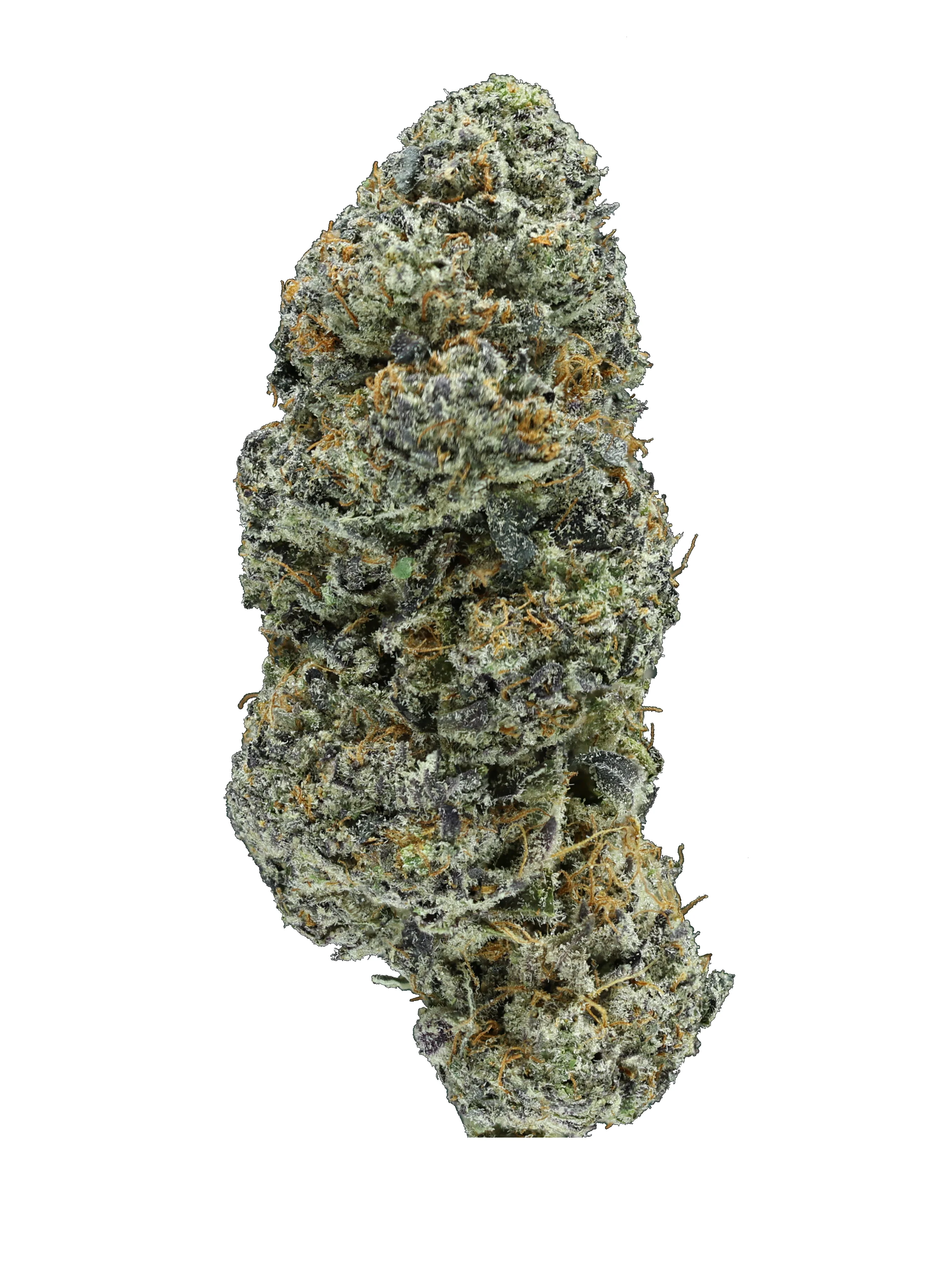 Sunset Jiffy Cake THCa Flower